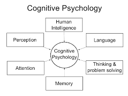 Cognitive Theories And Theories Of Psychology