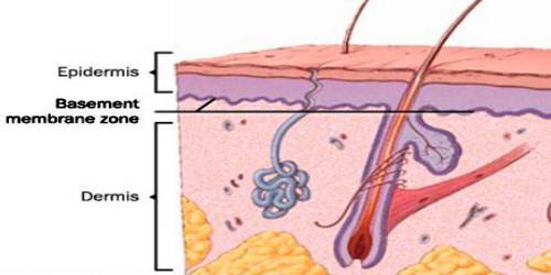 Basement Membrane Assignment Point