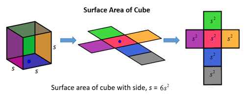 Calculate The Surface Area Of A Cube Assignment Point