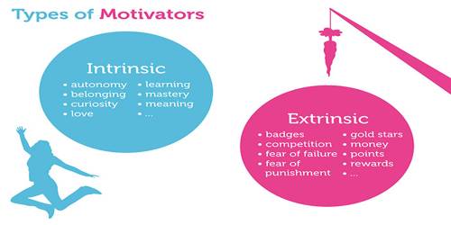extrinsic motivation factors
