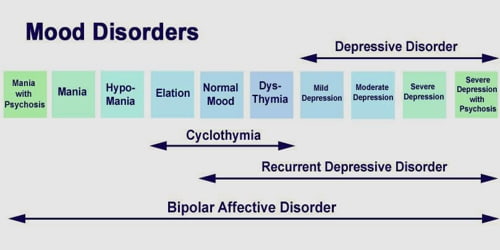 Mood Disorder Assignment Point