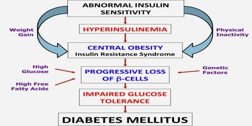 The Cause Of Diabetes Mellitus