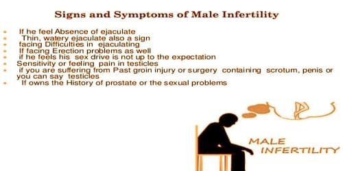 Male Infertility Symptoms Diagnosis Treatment And Prevention Assignment Point 7604