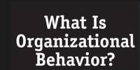 Introduction on Organizational Behavior