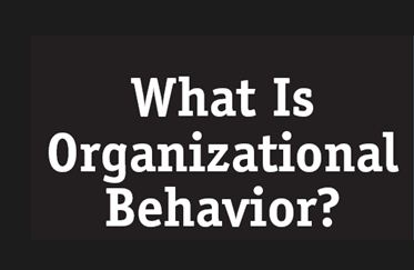 Introduction on Organizational Behavior