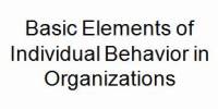 Basic Elements of Individual Behavior in Organizations