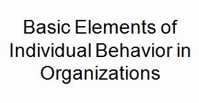 Basic Elements of Individual Behavior in Organizations