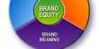 Term paper on Building Brand Equity