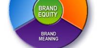 Term paper on Building Brand Equity