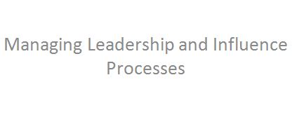 Managing Leadership and Influence Processes