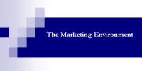 Lecture on The Marketing Environment