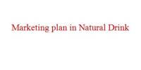Term paper on Marketing plan in Natural Drink