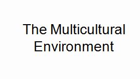 Lecture on The Multicultural Environment