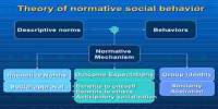 Lecture on Normative Behaviors