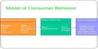 Lecture on Analyzing Consumer Behavior