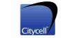 Training and Development Process on CITYCELL