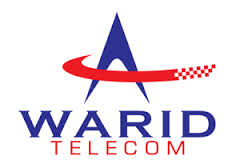 Internship Report on WARID Customer Service