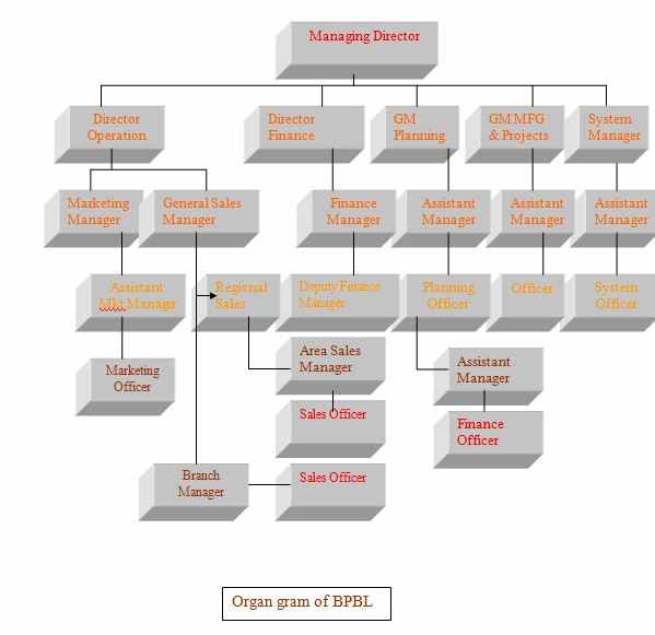 Report on Overall Business of Berger Paint - Assignment Point