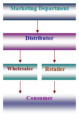 Distribution Channel of DANO milk powder