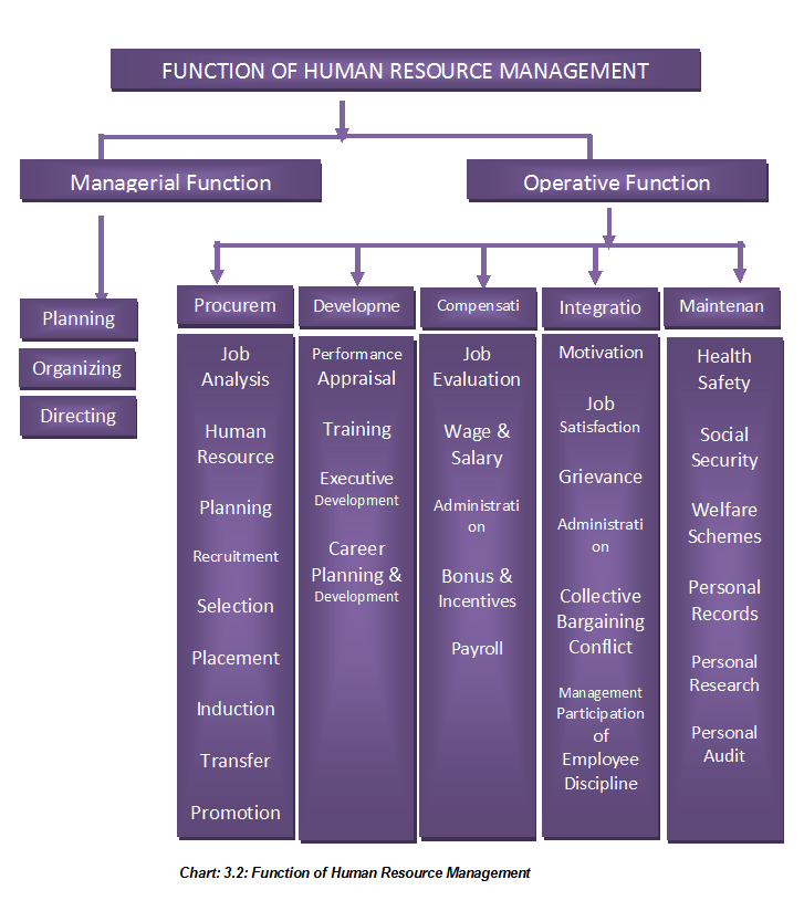 Function of Human Resource Management