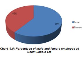 Percentage of male and female employee at