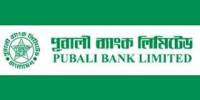 Report On Finance Analysis Through Ratios of Pubali Bank