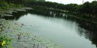 Report on River Morphology Of Bangladesh