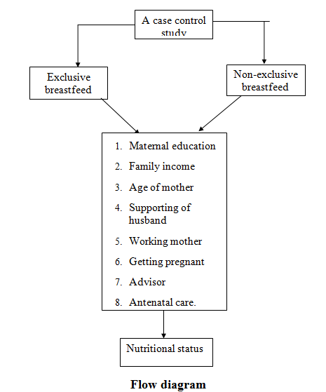 case-study-flow-diagram