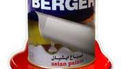 Report on Overall Business of Berger Paint
