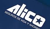 Report on the Business Process of Alico