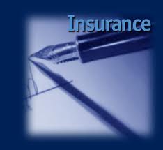 Report on Problem and Prospect of General Insurance