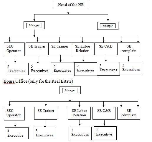 HR Structure of Shamsul Alamin Group