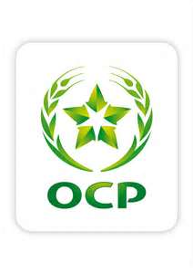 Report On  OCP  Structuring a HR Outsourcing Company Working in Bangladesh  A Study on PeopleScape