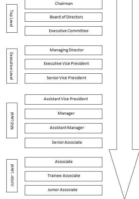 Organizational hierarchy