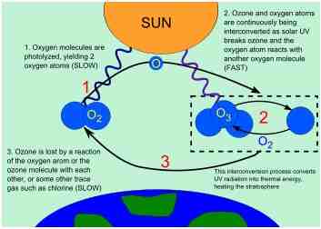 The Ozone Layer