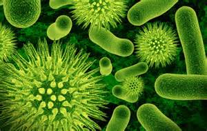 Report on Qualitative and Quantitative Determination of Antibacterial Properties