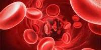 Assignment on Blood Hematology