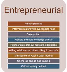 Report on Entrepreneurial Challenges