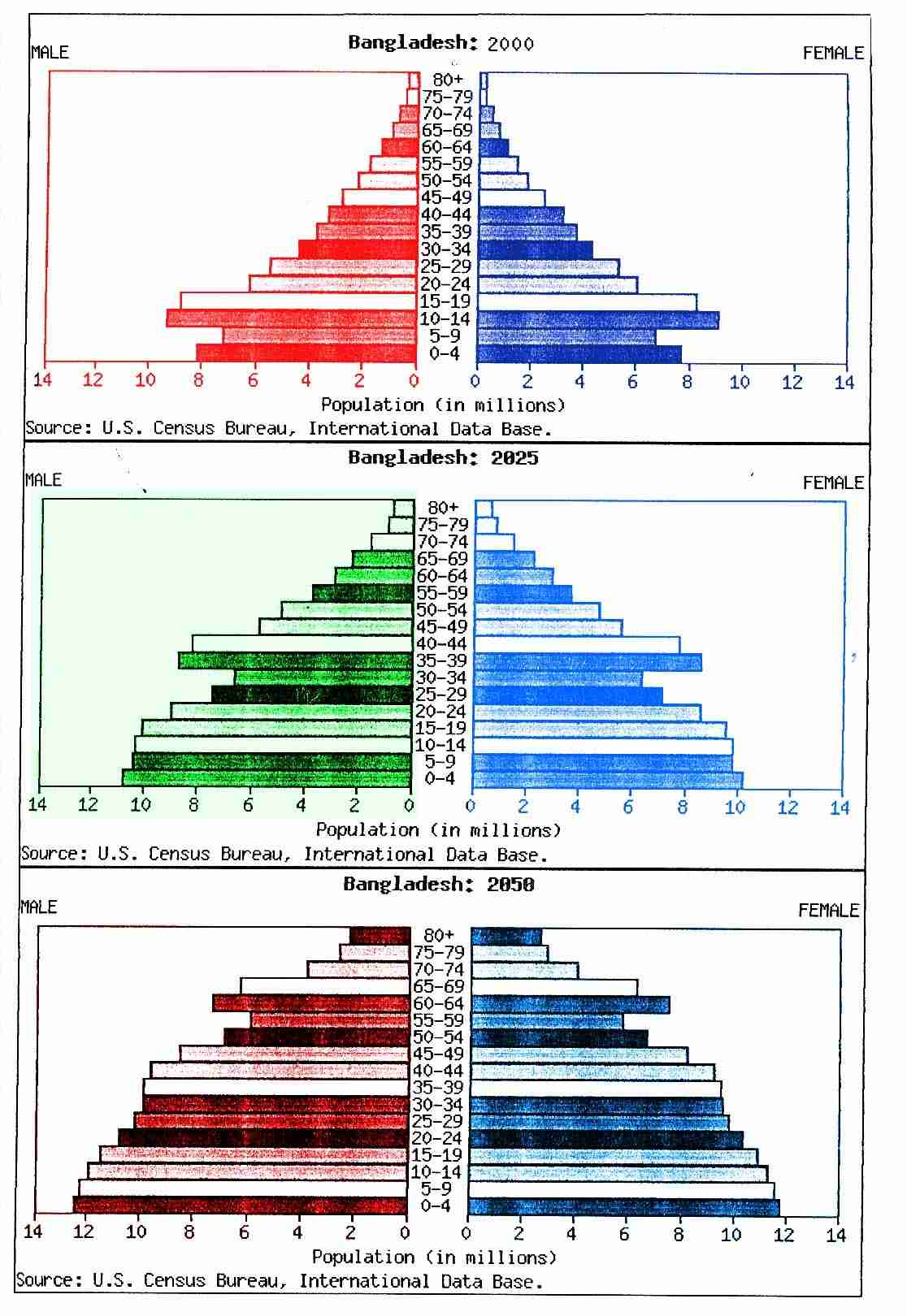 most recent population pyramids for Bangladesh