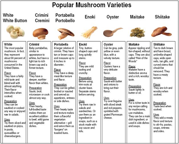 popular-mushroom-varities
