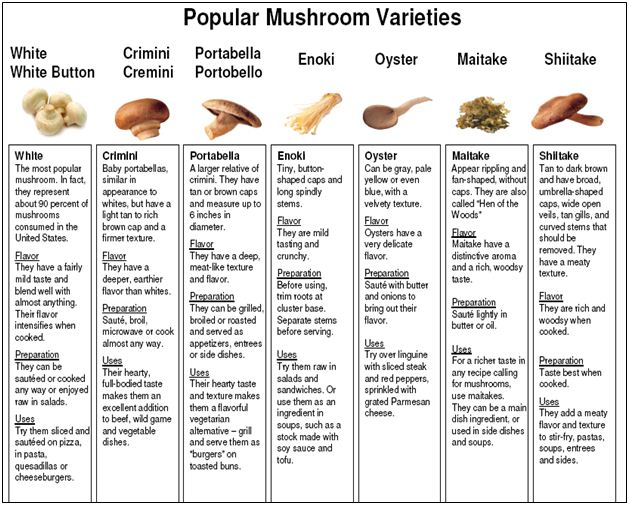 structure pdf biography Marketing on Report Mushrooms of  Point aspects Assignment