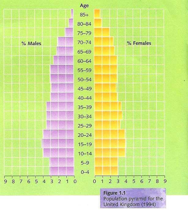 population pyramid for the United Kingdom