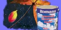 Report on Romana Paint Company Ltd