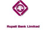 Internship Report  on  Credit Management of   RUPALI BANK LIMITED