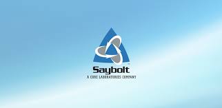 Assignment on Saybolt Group Limited
