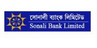 Internship Report on Financial Performance Analysis of  Sonali Bank Limited