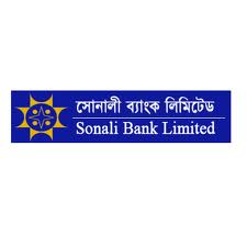 Internship Report on Financial Performance Analysis of  Sonali Bank Limited
