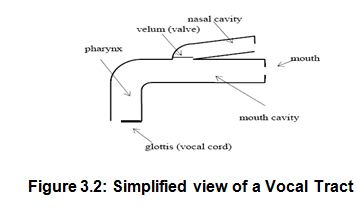 vocal-tract