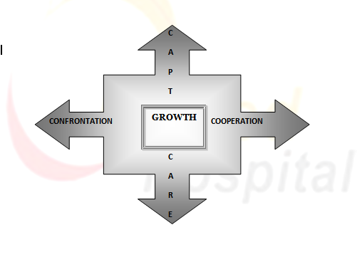 Corporate strategies