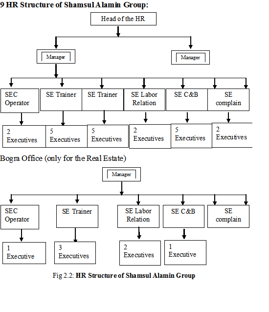 HR Structure of Shamsul Alamin Group